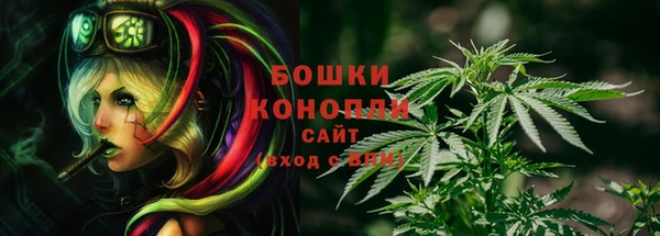 сатива Алзамай