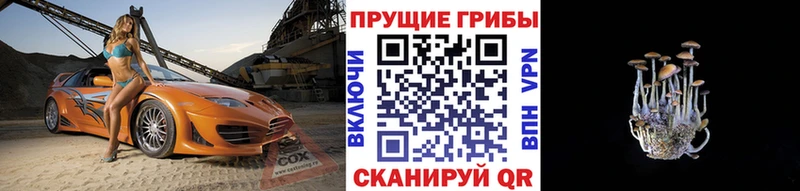 Псилоцибиновые грибы GOLDEN TEACHER  что такое   Артёмовск 